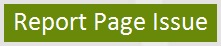 Report Page Issue