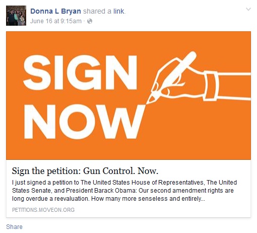 Donna Bryan Gun Control