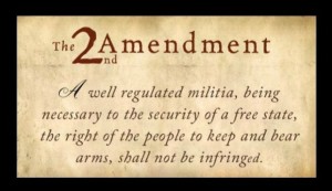 Second-Amendment